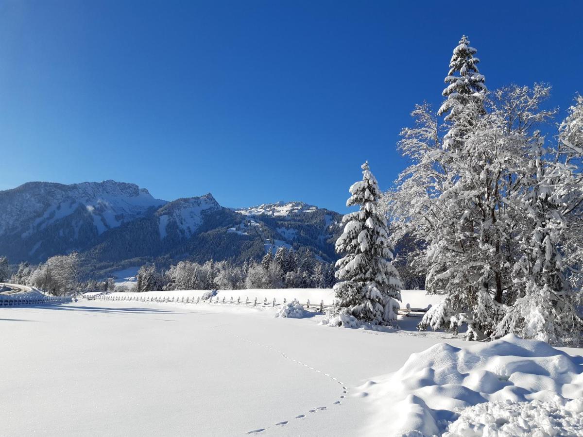 Pension Leitner Höfen Exteriér fotografie